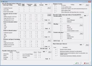 The display of EndoVault's IBD Scores window.