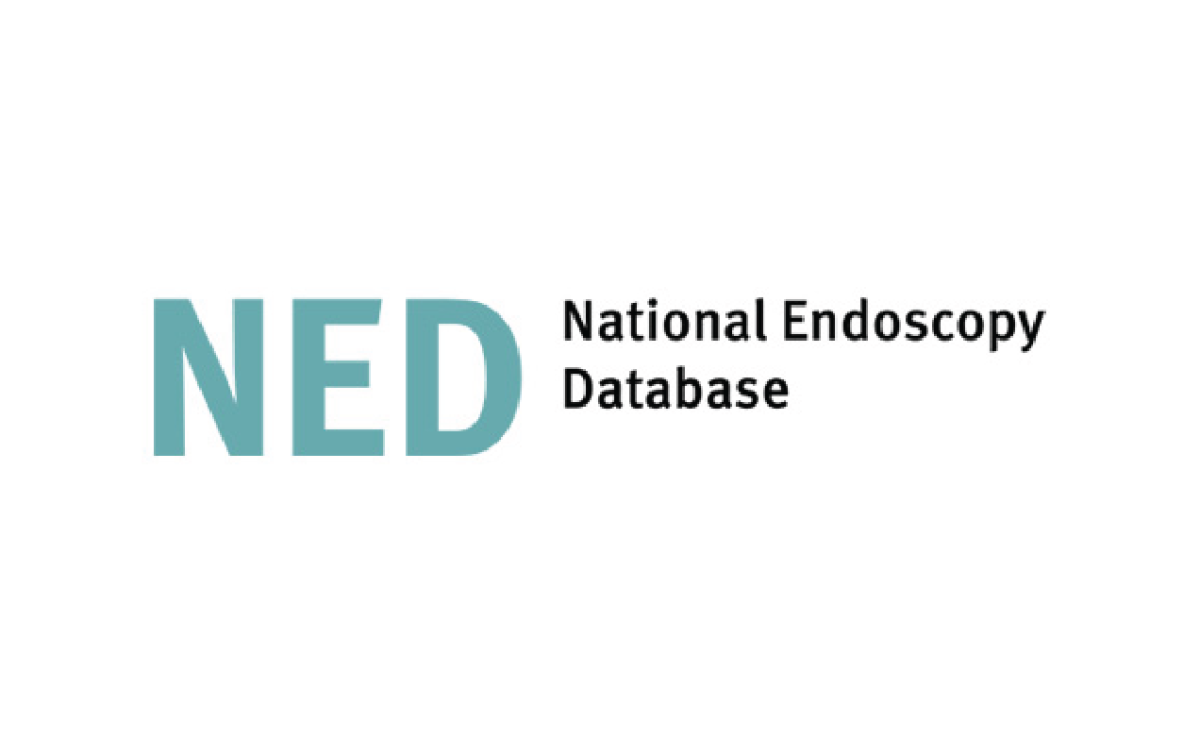 NED Logo
